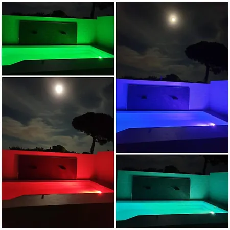 Esencia Del Palmar 1